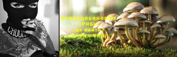 мдма Богородск