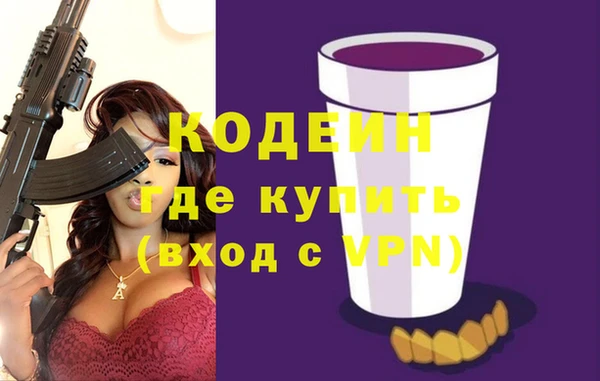 ГАЛЛЮЦИНОГЕННЫЕ ГРИБЫ Богданович
