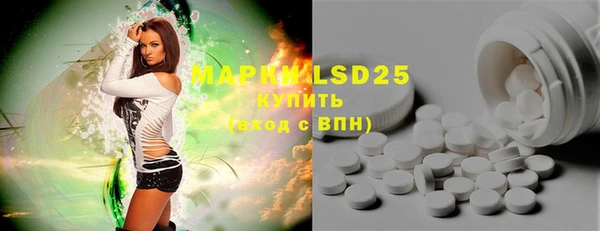 ГАЛЛЮЦИНОГЕННЫЕ ГРИБЫ Богданович