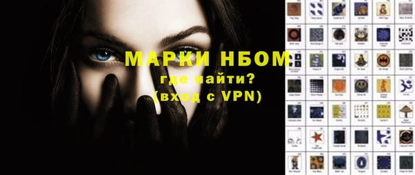ГАЛЛЮЦИНОГЕННЫЕ ГРИБЫ Богданович