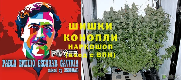амфетамин Богородицк