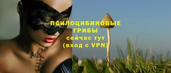 амфетамин Богородицк