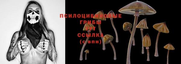 ГАЛЛЮЦИНОГЕННЫЕ ГРИБЫ Богданович
