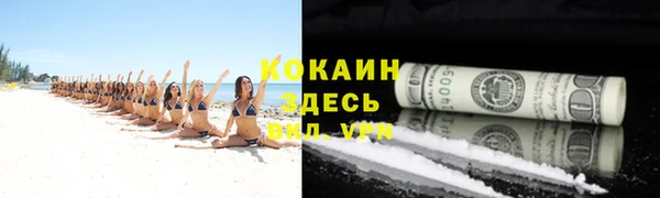 ГАЛЛЮЦИНОГЕННЫЕ ГРИБЫ Богданович