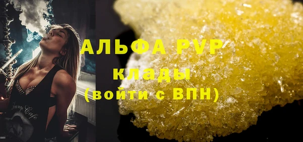 ГАЛЛЮЦИНОГЕННЫЕ ГРИБЫ Богданович