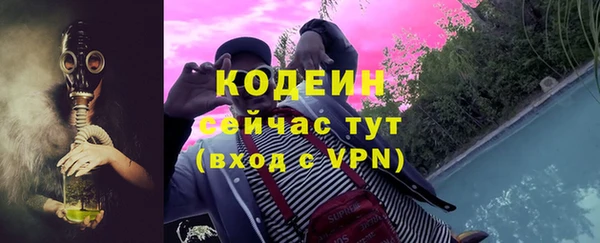 ГАЛЛЮЦИНОГЕННЫЕ ГРИБЫ Богданович