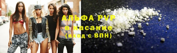 ГАЛЛЮЦИНОГЕННЫЕ ГРИБЫ Богданович