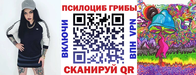 МЕГА зеркало  купить  сайты  Шимановск  Галлюциногенные грибы Psilocybine cubensis 